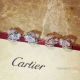 Buy Replica Panthere de Cartier Earring - s925 Silver Earring (4)_th.jpg